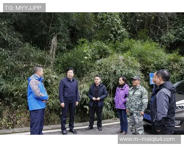 实时新闻深圳攀岩队区域防守分析与战术调整的深度探讨